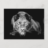 Wilde zwarte Jaguar Cat Eyes Briefkaarten (Voorkant)