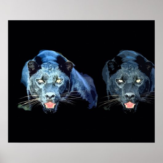 Wilde zwarte jaguar kat ogen blauwe tinten poster (Voorkant)