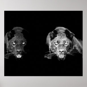 Wilde Zwarte Jaguar Kat Ogen Poster