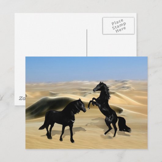 Wilde zwarte schoonheidpaarden briefkaart (Voorkant / Achterkant)