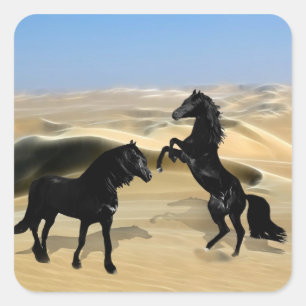 Wilde zwarte schoonheidpaarden vierkante sticker
