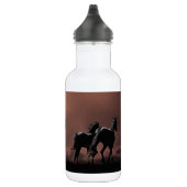Wilde zwarte schoonheidpaarden waterfles (Rechts)