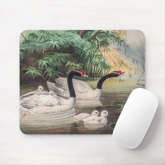  wilde zwarthalszwaan muismat (Met muis)