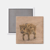 Wilde zwijnen biggetje magneet (Voorkant / Achterkant)