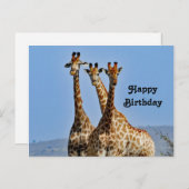 Wilde Zwiraffekudde Foto Verjaardag Briefkaart (Voorkant / Achterkant)