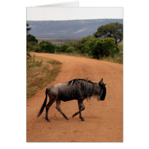 wildebeest