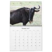 Wildebeest 2026 kalender (Jan 2027)
