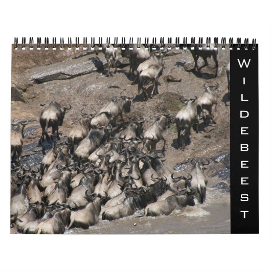 Wildebeest 2026 kalender (Hoes)