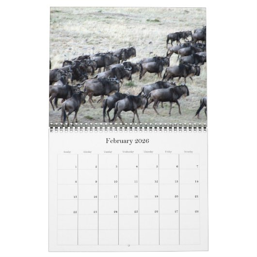 Wildebeest 2026 kalender (Feb 2026)