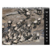 Wildebeest 2026 kalender (Hoes)