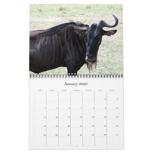 Wildebeest 2026 kalender (Jan 2026)
