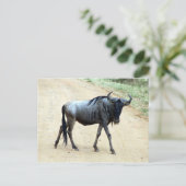wildebeest briefkaart (Staand voorkant)