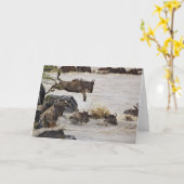 Wildebeest die tijdens de kaart (Gele Bloem)