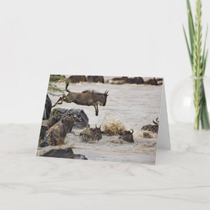 Wildebeest die tijdens de kaart