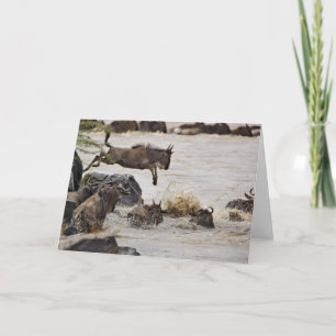 Wildebeest die tijdens de kaart