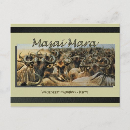 Wildebeest/gnu-migratie, safari-briefkaarten briefkaart (Voorkant)