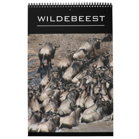 wildebeest kalender (Hoes)