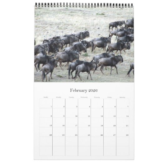 wildebeest kalender (Feb 2026)