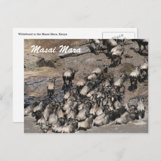 wildebeest klimt briefkaart (Voorkant / Achterkant)