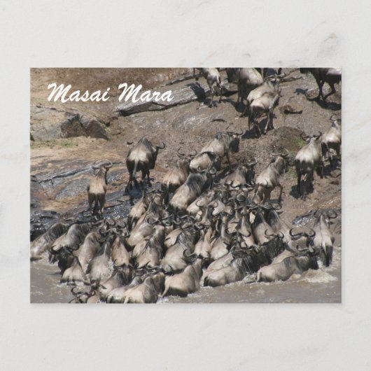 wildebeest klimt briefkaart (Voorkant)