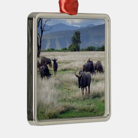 Wildebeest Metalen Ornament (Rechts)