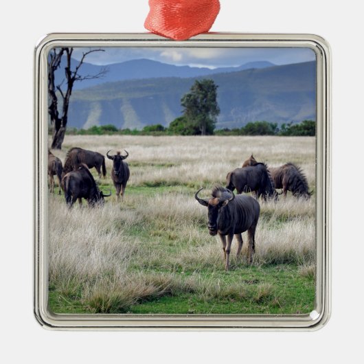 Wildebeest Metalen Ornament (Voorkant)