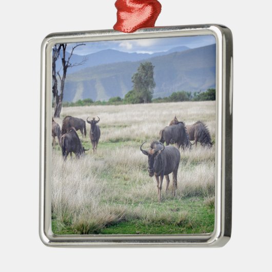Wildebeest Metalen Ornament (Links)