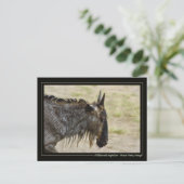 Wildebeest migration Kenya wildlife briefkaarten (Staand voorkant)