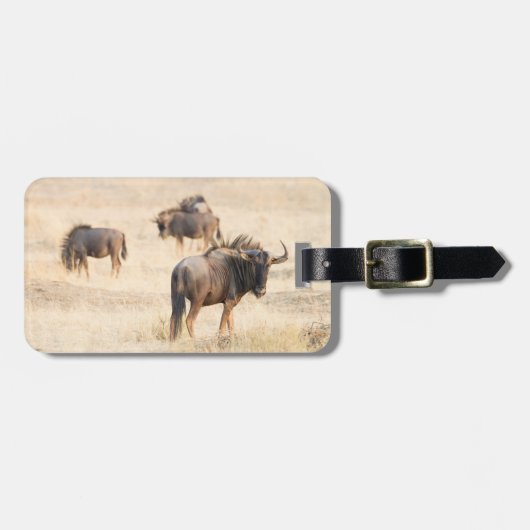 Wildebeest natuurfotografie Afrika Safari Bagagelabel (Voorkant horizontaal)