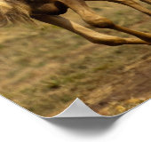 Wildebeest wordt uitgevoerd poster (Hoek)