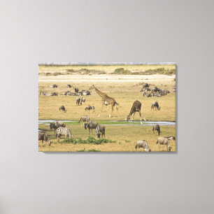 Wildebeesten, zebra's en Giraffes Canvas Afdruk