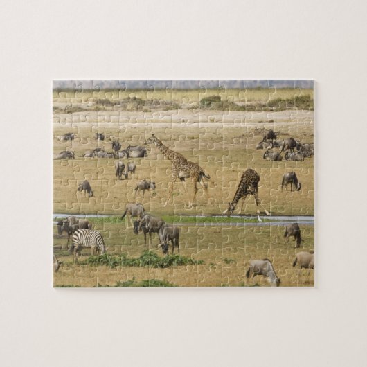 Wildebeesten, zebra's en Giraffes Legpuzzel (Horizontaal)