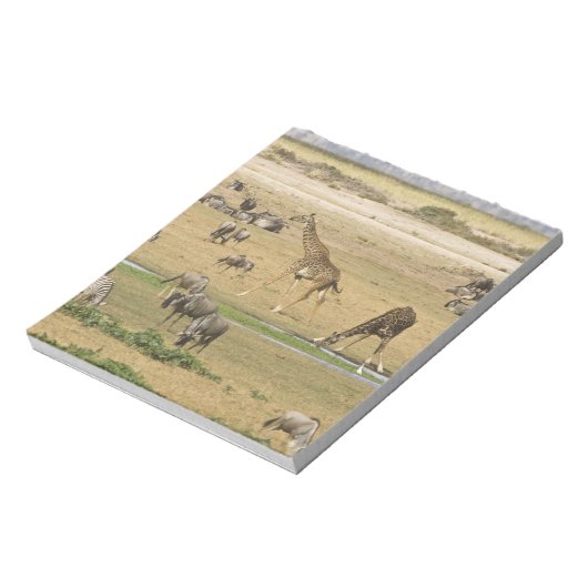 Wildebeesten, zebra's en Giraffes Notitieblok (Linkerzijde)