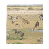 Wildebeesten, zebra's en Giraffes Notitieblok (Voorkant)