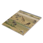 Wildebeesten, zebra's en Giraffes Tegeltje (Zijkant)