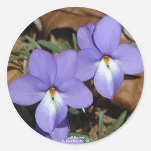WildeBloemen Birds-Foot Violet III Geschenken & Kl Ronde Sticker