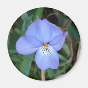 WildeBloemen Vogels-Voet Viooltje IV Het Geschenk Magneet