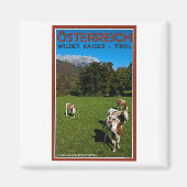 Wilder Kaiser - Koeien Magneet (Voorkant)