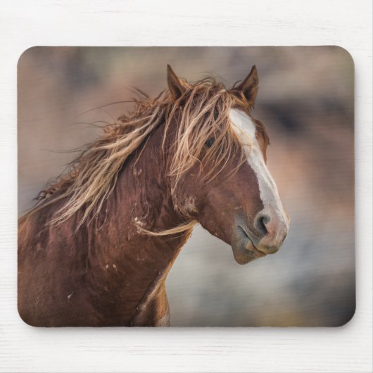 Wilder Muismat (Voorkant)