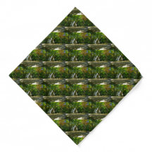 Wilderness A-Lijst Camping op de camping