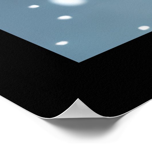 Wilderness Artic Fox Poster (Hoek)