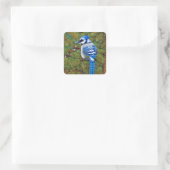 Wilderness Blue Jay Vierkante Sticker (Tas)