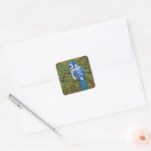 Wilderness Blue Jay Vierkante Sticker (Envelop)