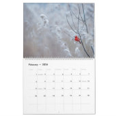 Wilderness Calendar Kalender (Feb 2026)
