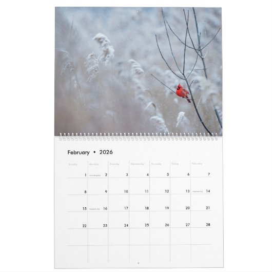 Wilderness Calendar Kalender (Feb 2026)