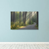 Wilderness Drive, Itasca State Park Canvas Afdruk (Insitu (Houten vloer))