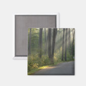 Wilderness Drive, Itasca State Park, Magneet (Voorkant / Achterkant)