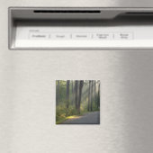 Wilderness Drive, Itasca State Park, Magneet (Insitu (Vaatwasser))