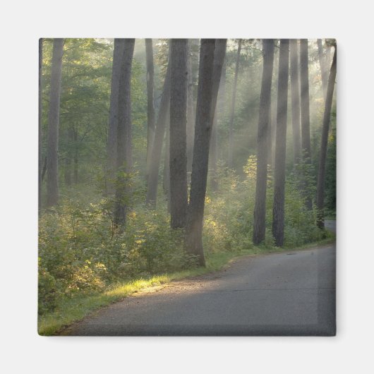 Wilderness Drive, Itasca State Park, Magneet (Voorkant)