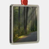 Wilderness Drive, Itasca State Park Metalen Ornament (Rechts)